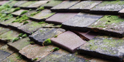 Chackmore roof repair costs